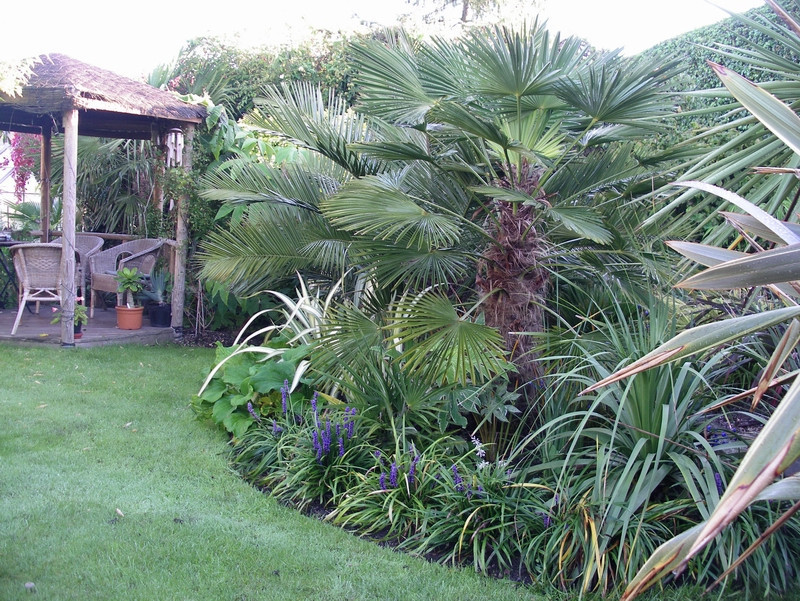 Why Your Pacific Home Should Utilize Sustainable Landscape Practices