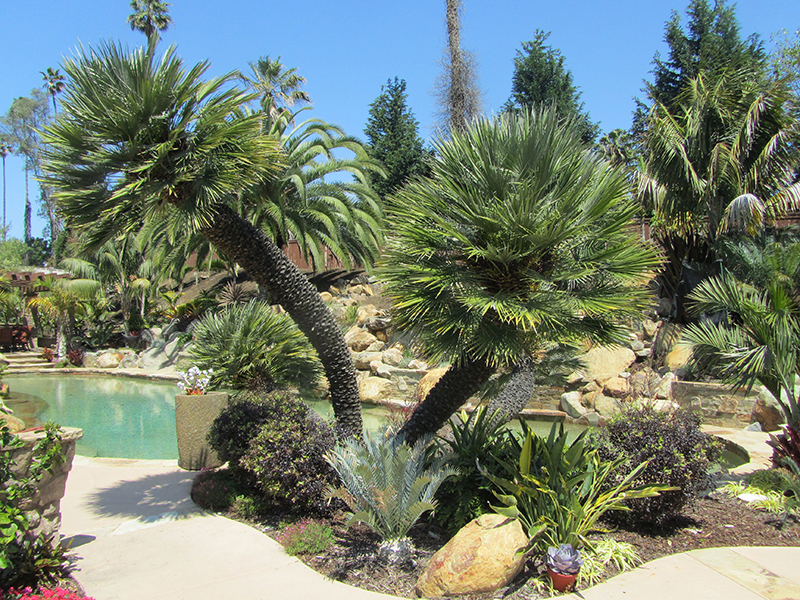 4 Tips Southwest US Homeowners Need to Remember When Landscaping
