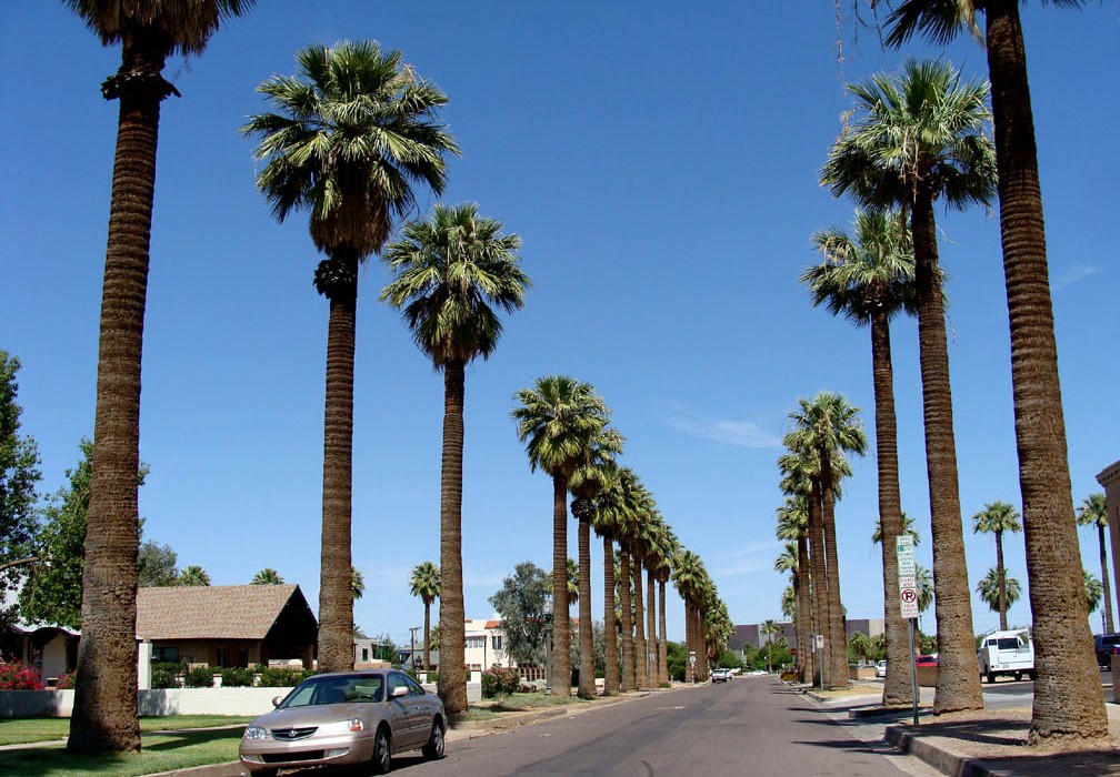 desert landscaping tips